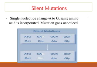 Silent Mutations
• Single nucleotide change-A to G, same amino
acid is incorporated. Mutation goes unnoticed.
 