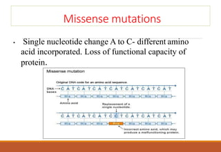 Missense mutations
• Single nucleotide change A to C- different amino
acid incorporated. Loss of functional capacity of
protein.
 