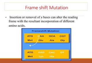 Frame shift Mutation
• Insertion or removal of a bases can alter the reading
frame with the resultant incorporation of different
amino acids.
 