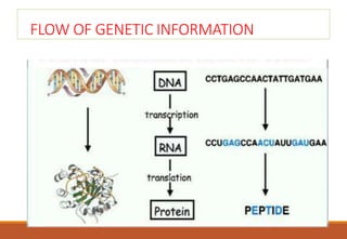 Genetic code  slide