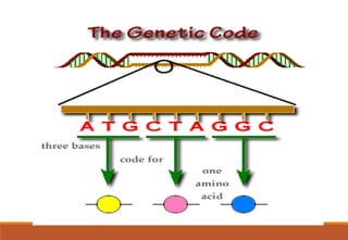 Codon and its type
• Genetic code is a Dictionary consists of
“Genetic words” called CODONS.
• Each codon consists of thre...