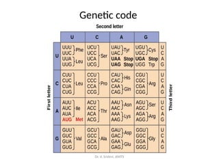 Genetic code -student copy.pptx by rakesh | PPTX