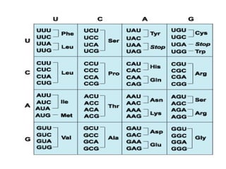 Genetic code2 | PPTX