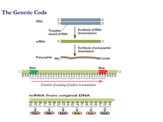 Genetic Code Rac Genetic code2 | PPTX