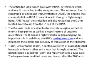 • The anticodon loop, which pairs with mRNA, determines which
amino acid is attached to the acceptor stem. The anticodon loop is
recognized by aminoacyl tRNA synthetase (AATS), the enzyme that
chemically links a tRNA to an amino acid through a high-energy
bond. AATS ‘reads’ the anticodon and also recognizes the D-arm
located downstream from the 5’ end of the tRNA.
• The D-arm is made of a double-stranded stem region formed by
internal base pairing as well as a loop structure of unpaired
nucleotides. The D-arm is a highly variable region and plays an
important role in stabilizing the RNA’s tertiary structure and also
influences the kinetics and accuracy of translation at the ribosome.
• T-arm, Similar to the D-arm, it contains a stretch of nucleotides that
base pair with each other and a loop that is single stranded. The
paired region is called the ‘stem’ and mostly contains 5 base pairs.
The loop contains modified bases and is also called the TΨC arm.
 