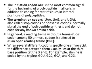  The initiation codon AUG is the most common signal
for the beginning of a polypeptide in all cells in
addition to coding for Met residues in internal
positions of polypeptides.
 The termination codons (UAA, UAG, and UGA),
also called stop codons or nonsense codons, normally
signal the end of polypeptide synthesis and do not
code for any known amino acids.
 In general, a reading frame without a termination
codon among 50 or more codons is referred to
as an open reading frame (ORF).
 When several different codons specify one amino acid,
the difference between them usually lies at the third
base position (at the 3 end). For example, alanine is
coded by the triplets GCU, GCC, GCA, and GCG.
 