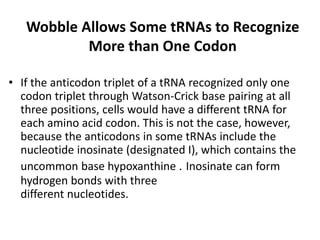 Wobble Allows Some tRNAs to Recognize
More than One Codon
• If the anticodon triplet of a tRNA recognized only one
codon triplet through Watson-Crick base pairing at all
three positions, cells would have a different tRNA for
each amino acid codon. This is not the case, however,
because the anticodons in some tRNAs include the
nucleotide inosinate (designated I), which contains the
uncommon base hypoxanthine . Inosinate can form
hydrogen bonds with three
different nucleotides.
 