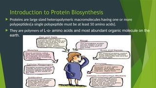 Introduction to Protein Biosynthesis
 Proteins are large sized heteropolymeric macromolecules having one or more
polypeptides{a single polypeptide must be at least 50 amino acids}.
 They are polymers of L-α- amino acids and most abundant organic molecule on the
earth.
 