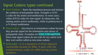 Signal Codons types continued
 Start Codons : Starts the translation process and initiates
the synthesis of polypeptide chain. Example is AUG
( codes for the amino acid methionine). In some cases,
valine (GUG) codes for start signal. In eukaryotes, the
starting amino acid is methionine, while in prokaryotes it
is N formyl methionine.
 Stop Codons : Also known as termination codons because
they provide signal for the termination and release of
polypeptide chain. Examples are UAA, UAG and UGA.
Since stop signal codons do not code for any amino acid
they were earlier called as non sense codons.
 Anticodon : It is a sequence of three adjacent
nucleotides located on tRNA. It pairs with the
complementary codon on mRNA during protein
synthesis.
 