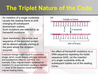 Genetic code and transcription | PPTX