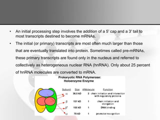 Genetic code and transcription | PPTX