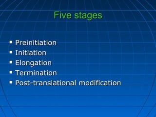 Five stagesFive stages
 PreinitiationPreinitiation
 InitiationInitiation
 ElongationElongation
 TerminationTermination
 Post-translational modificationPost-translational modification
 