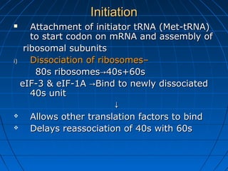 InitiationInitiation
 Attachment of initiator tRNA (Met-tRNA)Attachment of initiator tRNA (Met-tRNA)
to start codon on mRNA and assembly ofto start codon on mRNA and assembly of
ribosomal subunitsribosomal subunits
i)i) Dissociation of ribosomes–Dissociation of ribosomes–
80s ribosomes80s ribosomes 40s+60s→40s+60s→
eIF-3 & eIF-1A Bind to newly dissociated→eIF-3 & eIF-1A Bind to newly dissociated→
40s unit40s unit
↓↓
 Allows other translation factors to bindAllows other translation factors to bind
 Delays reassociation of 40s with 60sDelays reassociation of 40s with 60s
 