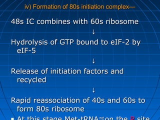 iv) Formation of 80s initiation complex—iv) Formation of 80s initiation complex—
48s IC combines with 60s ribosome48s IC combines with 60s ribosome
↓↓
Hydrolysis of GTP bound to eIF-2 byHydrolysis of GTP bound to eIF-2 by
eIF-5eIF-5
↓↓
Release of initiation factors andRelease of initiation factors and
recycledrecycled
↓↓
Rapid reassociation of 40s and 60s toRapid reassociation of 40s and 60s to
form 80s ribosomeform 80s ribosome
metmet
 