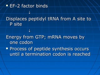  EF-2 factor bindsEF-2 factor binds
↓↓
Displaces peptidyl tRNA from A site toDisplaces peptidyl tRNA from A site to
P siteP site
↓↓
Energy from GTP; mRNA moves byEnergy from GTP; mRNA moves by
one codonone codon
 Process of peptide synthesis occursProcess of peptide synthesis occurs
until a termination codon is reacheduntil a termination codon is reached
 