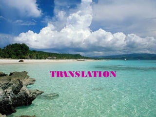 TRANSLATION
 