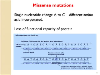 Genetic code and translation | PPT