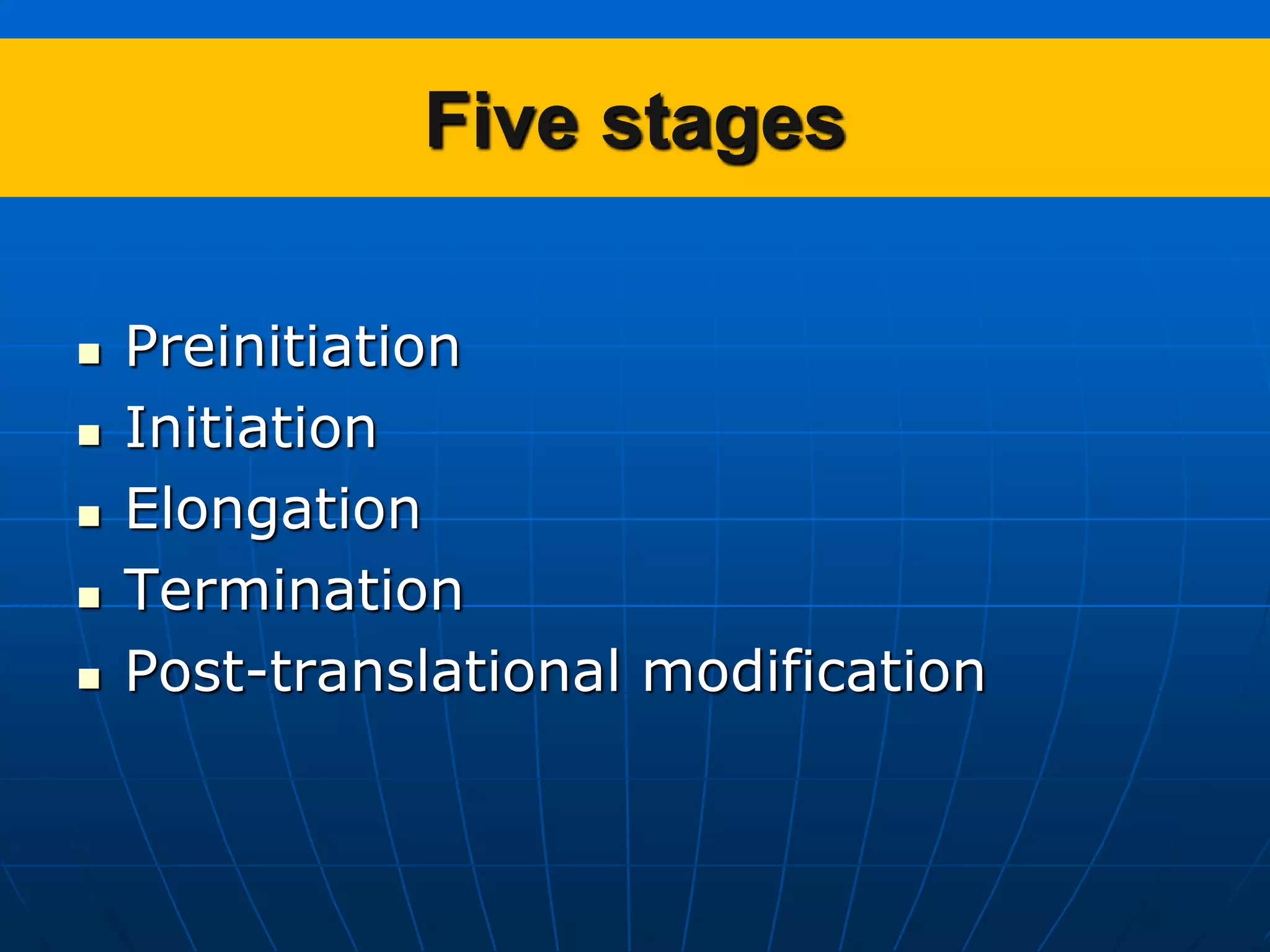 Five stages
 Preinitiation
 Initiation
 Elongation
 Termination
 Post-translational modification
 