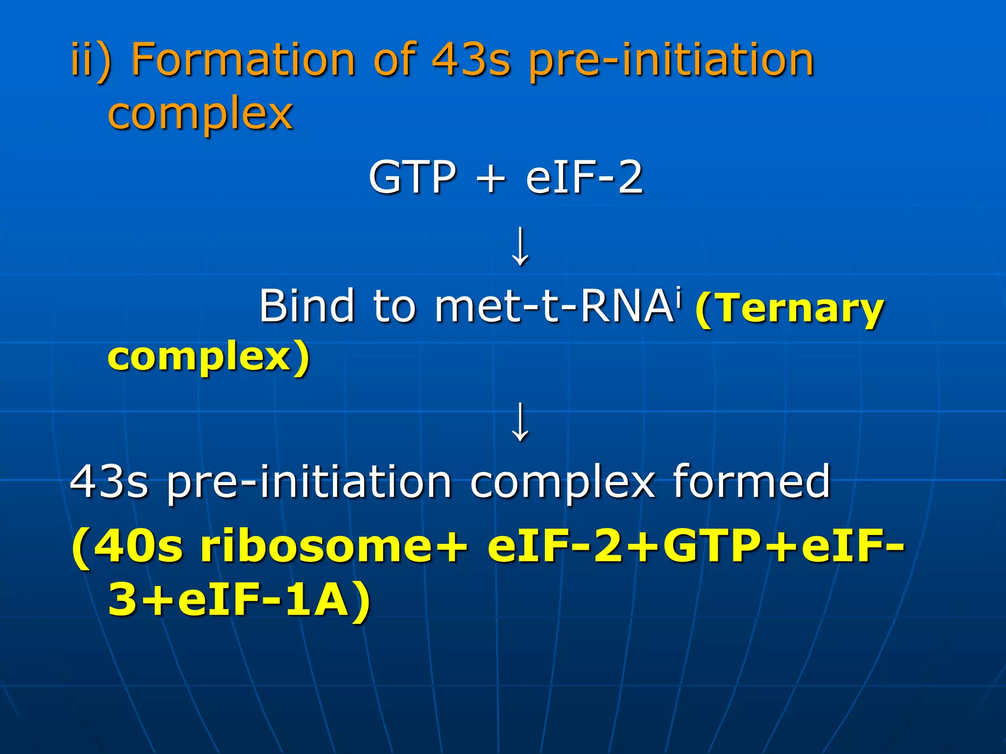 ii) Formation of 43s pre-initiation
complex
GTP + eIF-2
↓
Bind to met-t-RNAi (Ternary
complex)
↓
43s pre-initiation complex formed
(40s ribosome+ eIF-2+GTP+eIF-
3+eIF-1A)
 