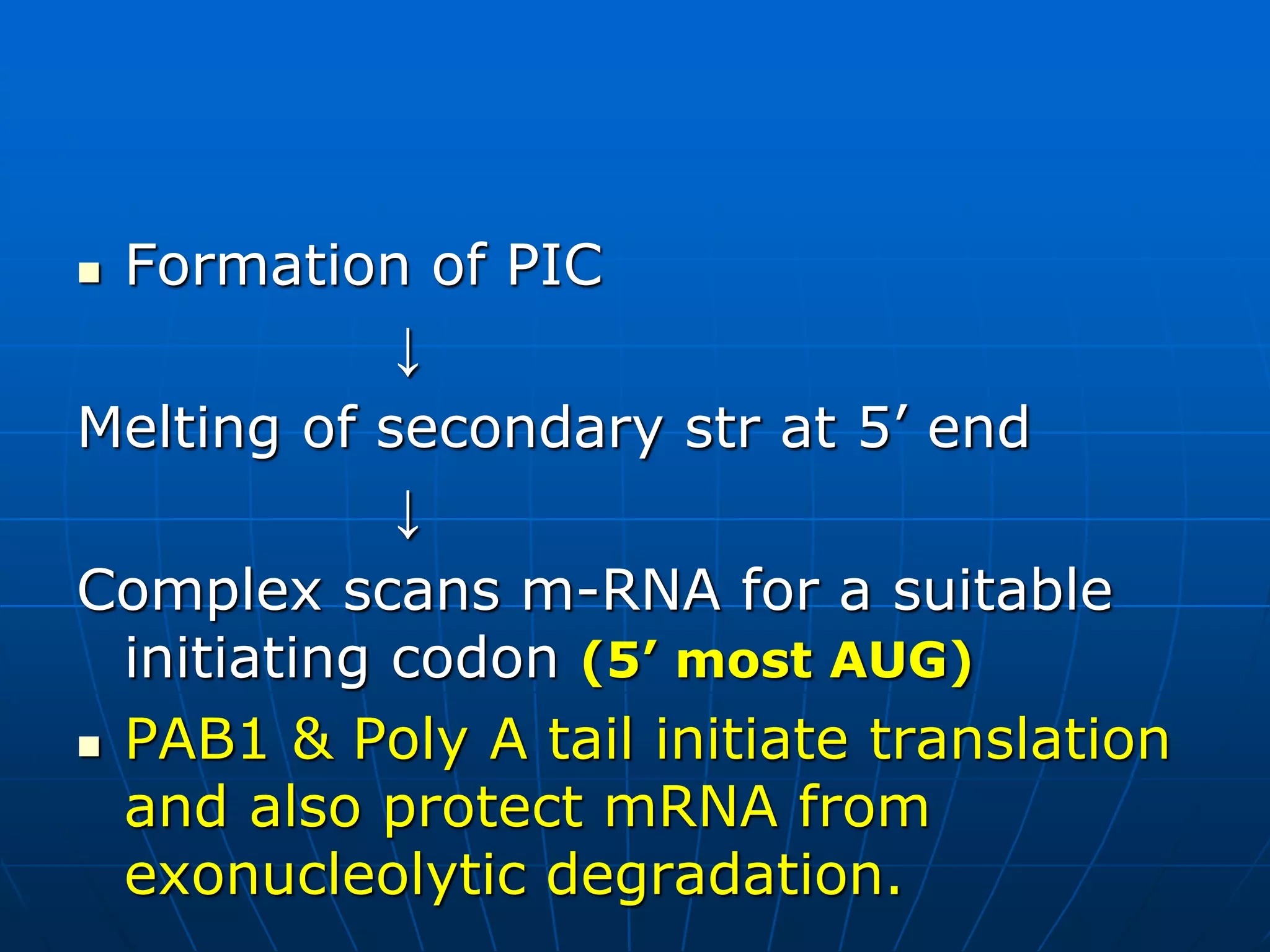  Formation of PIC
↓
Melting of secondary str at 5’ end
↓
Complex scans m-RNA for a suitable
initiating codon (5’ most AUG)
 PAB1 & Poly A tail initiate translation
and also protect mRNA from
exonucleolytic degradation.
 