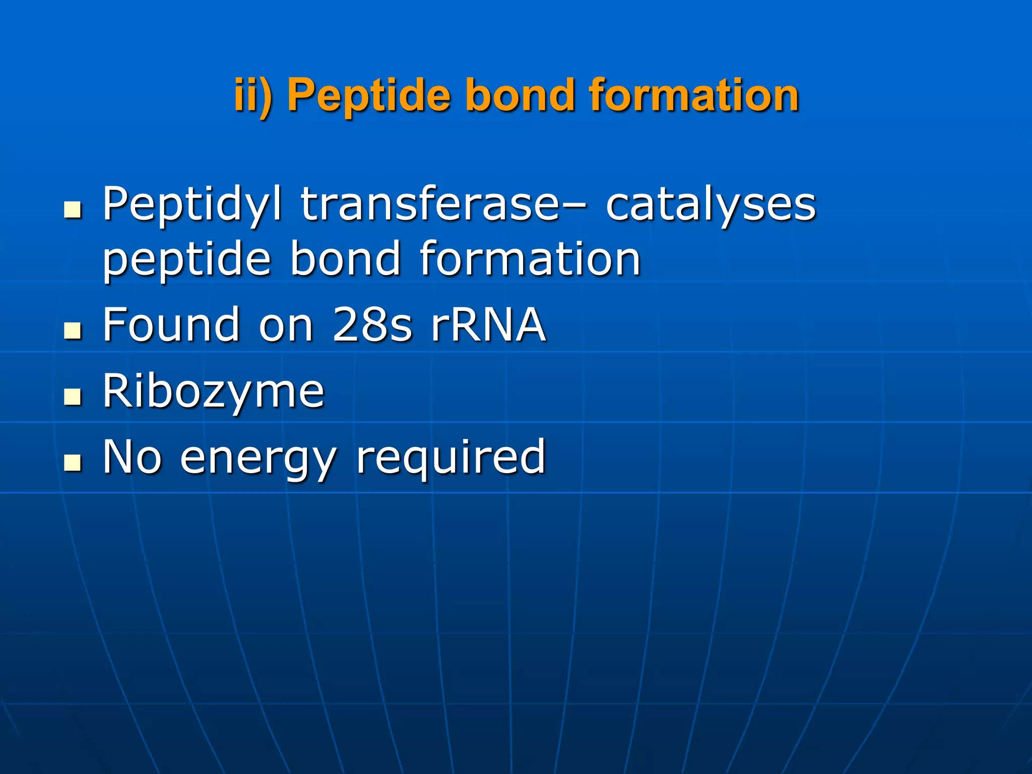 ii) Peptide bond formation
 Peptidyl transferase– catalyses
peptide bond formation
 Found on 28s rRNA
 Ribozyme
 No energy required
 