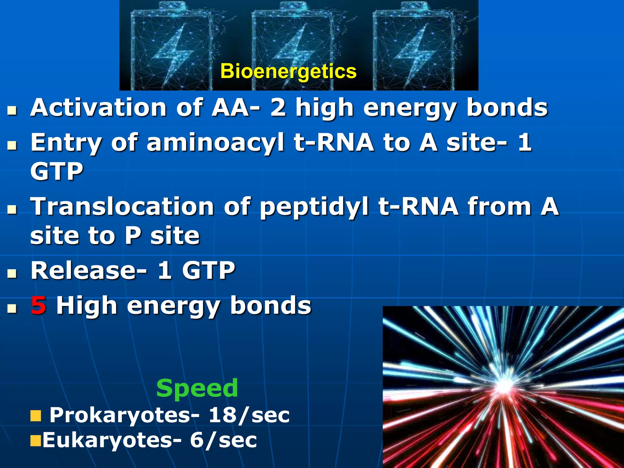  Activation of AA- 2 high energy bonds
 Entry of aminoacyl t-RNA to A site- 1
GTP
 Translocation of peptidyl t-RNA from A
site to P site
 Release- 1 GTP
 5 High energy bonds
Bioenergetics
Speed
Prokaryotes- 18/sec
Eukaryotes- 6/sec
 