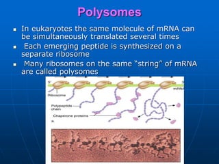 Genetic code and translation | PPTX