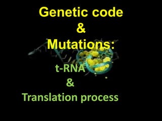 Genetic code
&
Mutations:
t-RNA
&
Translation process
 