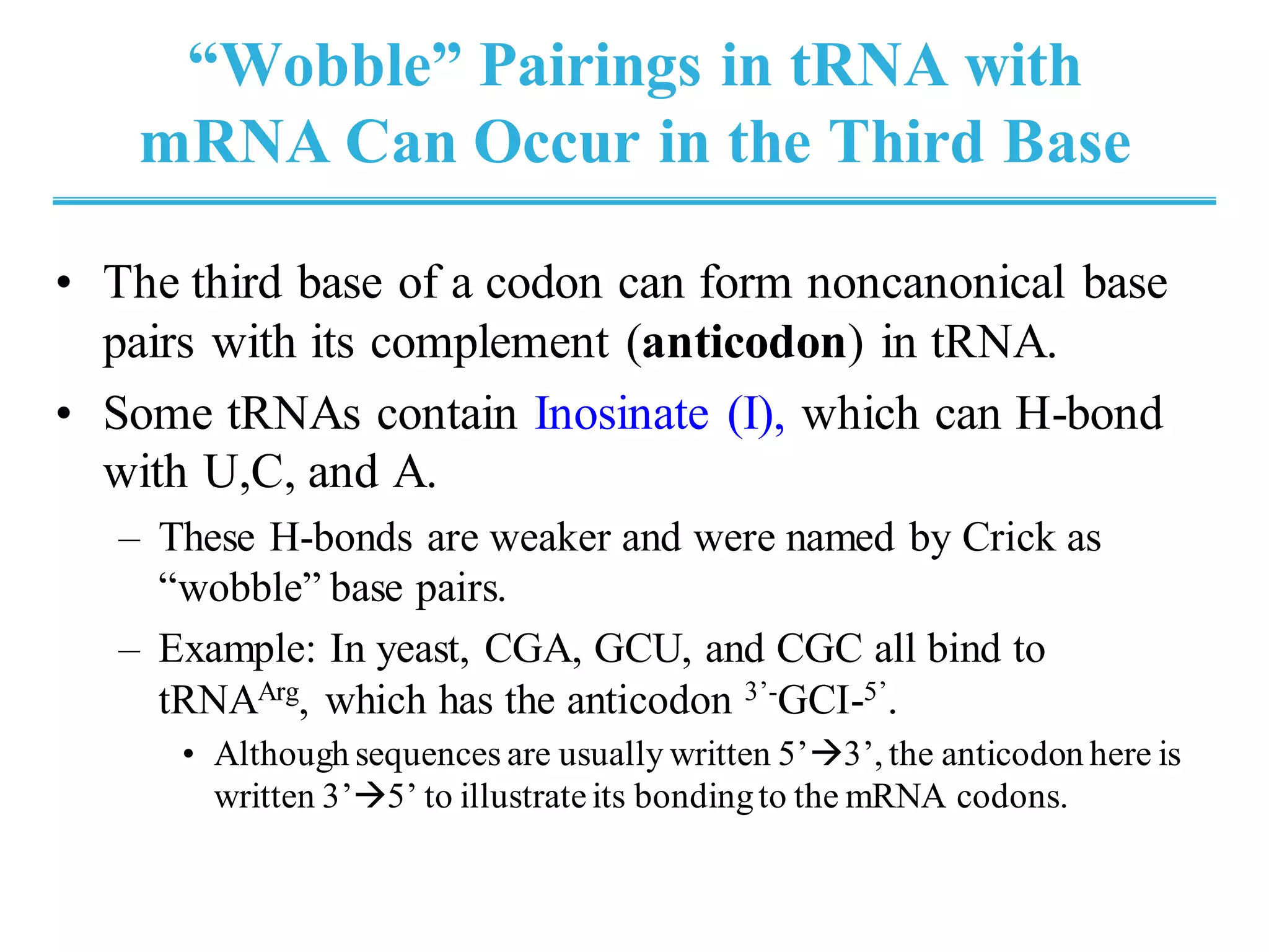“Wobble” Pairings in tRNA with
mRNA Can Occur in the Third Base
• The third base of a codon can form noncanonical base
pairs with its complement (anticodon) in tRNA.
• Some tRNAs contain Inosinate (I), which can H-bond
with U,C, and A.
– These H-bonds are weaker and were named by Crick as
“wobble” base pairs.
– Example: In yeast, CGA, GCU, and CGC all bind to
tRNAArg, which has the anticodon 3’-GCI-5’.
• Although sequences are usually written 5’→3’, the anticodon here is
written 3’→5’ to illustrateits bondingto the mRNA codons.
 