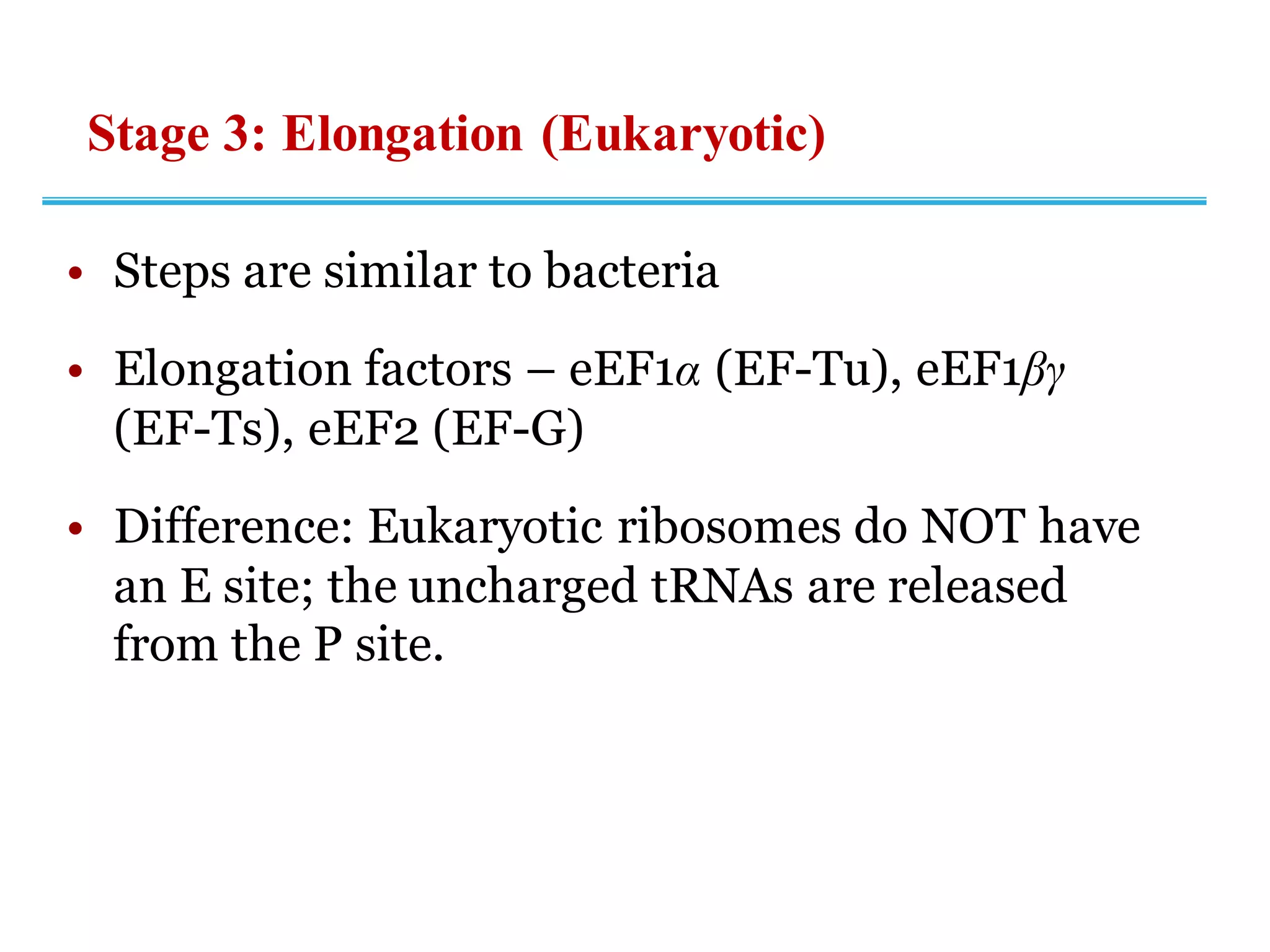 Stage 3: Elongation (Eukaryotic)
• Steps are similar to bacteria
• Elongation factors – eEF1α (EF-Tu), eEF1βγ
(EF-Ts), eEF2 (EF-G)
• Difference: Eukaryotic ribosomes do NOT have
an E site; the uncharged tRNAs are released
from the P site.
 