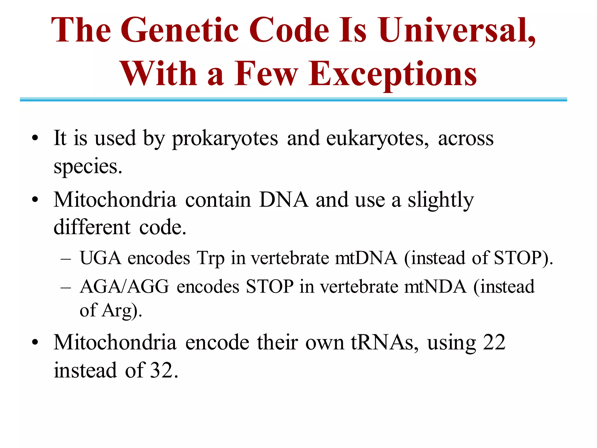 The Genetic Code Is Universal,
With a Few Exceptions
• It is used by prokaryotes and eukaryotes, across
species.
• Mitochondria contain DNA and use a slightly
different code.
– UGA encodes Trp in vertebrate mtDNA (instead of STOP).
– AGA/AGG encodes STOP in vertebrate mtNDA (instead
of Arg).
• Mitochondria encode their own tRNAs, using 22
instead of 32.
 