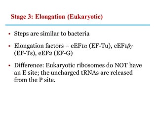 Stage 3: Elongation (Eukaryotic)
• Steps are similar to bacteria
• Elongation factors – eEF1α (EF-Tu), eEF1βγ
(EF-Ts), eEF2 (EF-G)
• Difference: Eukaryotic ribosomes do NOT have
an E site; the uncharged tRNAs are released
from the P site.
 