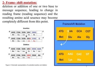 genetic code . | PPT