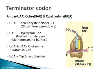 Amber(UAA),Ochre(UAG) & Opal codons(UGA)
 UGA - Selenocysteine(Sec)-21
(Glutathione peroxidase)
 UAG - Pyrolysine-22
(Methyl transferase)
(Methanosarcina barkeri)
 UGA & UAA- Glutamine
( paramecium)
 UGA – Trp (mycoplasma)
Garret
 