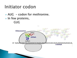  AUG - codon for methionine.
 In few proteins,
GUG
 