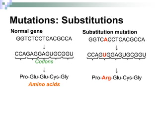 Mutations: Substitutions
Substitution mutation
GGTCACCTCACGCCA
↓
CCAGUGGAGUGCGGU
↓
Pro-Arg-Glu-Cys-Gly
Normal gene
GGTCTCCTCACGCCA
↓
CCAGAGGAGUGCGGU
Codons
↓
Pro-Glu-Glu-Cys-Gly
Amino acids
 
