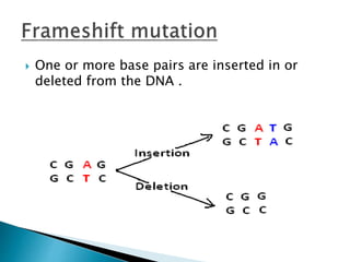  One or more base pairs are inserted in or
deleted from the DNA .
 