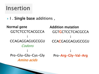  I . Single base additions ,
Normal gene
GGTCTCCTCACGCCA
↓
CCAGAGGAGUGCGGU
Codons
↓
Pro-Glu-Glu-Cys-Gly
Amino acids
Addition mutation
GGTGCTCCTCACGCCA
↓
CCACGAGGAGUGCGGU
↓
Pro-Arg-Gly-Val-Arg
 