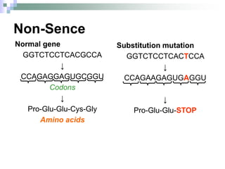 Non-Sence
Normal gene
GGTCTCCTCACGCCA
↓
CCAGAGGAGUGCGGU
Codons
↓
Pro-Glu-Glu-Cys-Gly
Amino acids
Substitution mutation
GGTCTCCTCACTCCA
↓
CCAGAAGAGUGAGGU
↓
Pro-Glu-Glu-STOP
 
