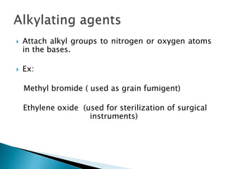  Attach alkyl groups to nitrogen or oxygen atoms
in the bases.
 Ex:
Methyl bromide ( used as grain fumigent)
Ethylene oxide (used for sterilization of surgical
instruments)
 