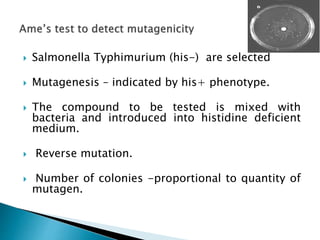  Salmonella Typhimurium (his-) are selected
 Mutagenesis – indicated by his+ phenotype.
 The compound to be tested is mixed with
bacteria and introduced into histidine deficient
medium.
 Reverse mutation.
 Number of colonies -proportional to quantity of
mutagen.
 