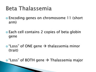  Encoding genes on chromosome 11 (short
arm)
 Each cell contains 2 copies of beta globin
gene
 “Loss” of ONE gene  thalassemia minor
(trait)
 “Loss” of BOTH gene  Thalassemia major
 