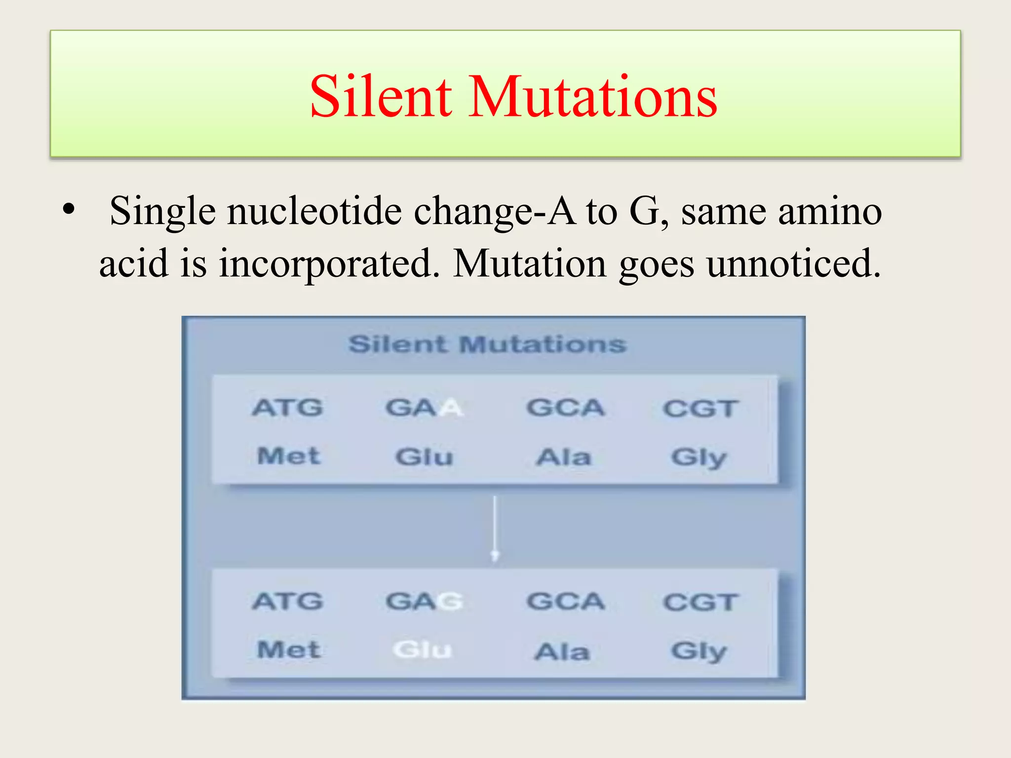 genetic-code-ppt-ppt