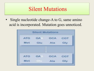 Non sense Mutation
• Single nucleotide change from C to T, stop codon
is generated (In m RNA represented by UAG),
prematur...