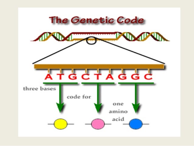 Genetic code ppt