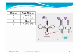 genetic_code_ppt..pdf