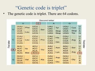 Genetic code ppt and role in protein synthesis | PPTX