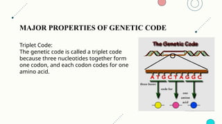 Triple Code Structure GENETIC CODE PPT || Medical genetics || Molecular genetics and biology ...