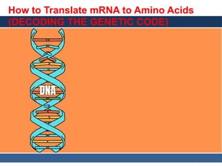 General, Organic, and Biological Chemistry: Structures of Life, 5/e
Karen C. Timberlake
© 2016 Pearson Education, Inc.
How to Translate mRNA to Amino Acids
(DECODING THE GENETIC CODE)
 