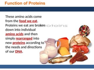 General, Organic, and Biological Chemistry: Structures of Life, 5/e
Karen C. Timberlake
© 2016 Pearson Education, Inc.
Function of Proteins
These amino acids come
from the food we eat.
Proteins we eat are broken
down into individual
amino acids and then
simply rearranged into
new proteins according to
the needs and directions
of our DNA.
 